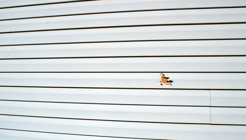 Experienced Vinyl Siding Technician